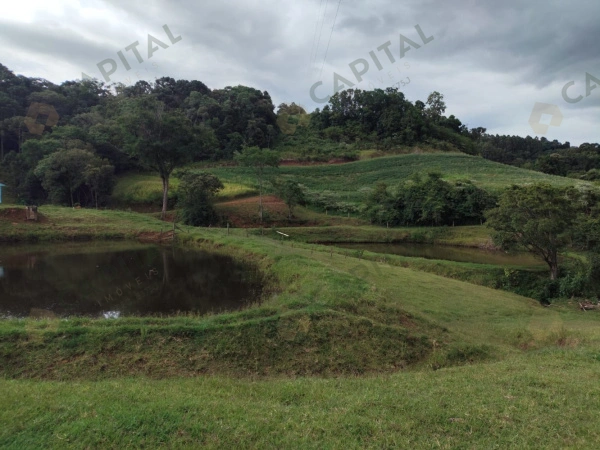 Propriedade Rural - Venda