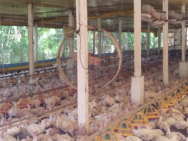 Propriedade Rural - Venda