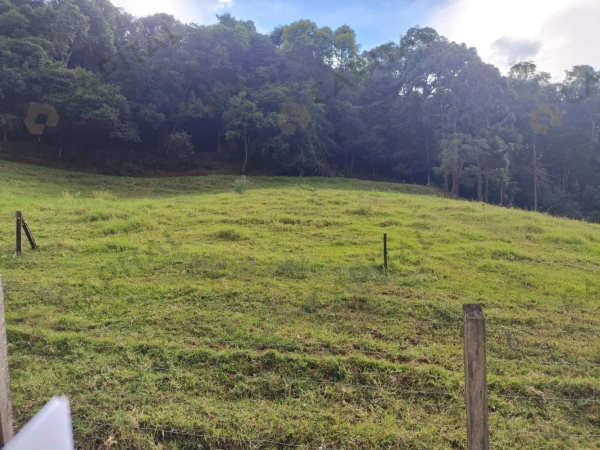 Propriedade Rural - Venda