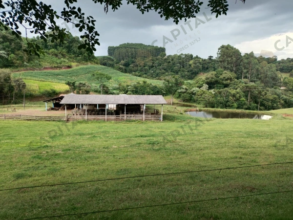 Propriedade Rural - Venda