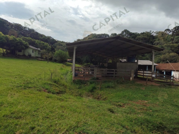 Propriedade Rural - Venda