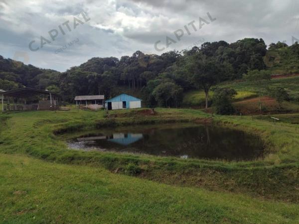 Propriedade Rural - Venda