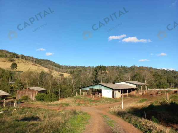 Propriedade Rural - Venda