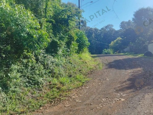Terrenos - Venda