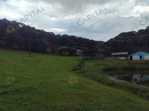 Propriedade Rural - Venda