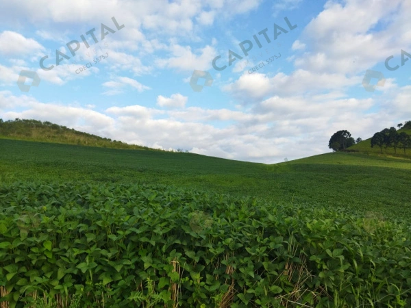 Propriedade Rural - Venda