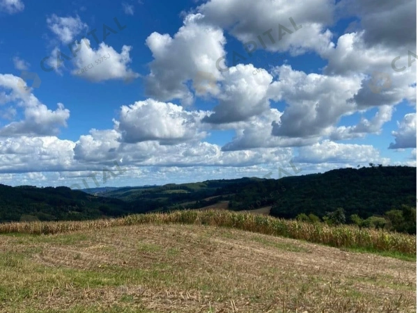 Propriedade Rural - Venda