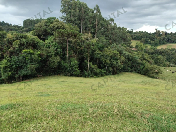 Propriedade Rural - Venda