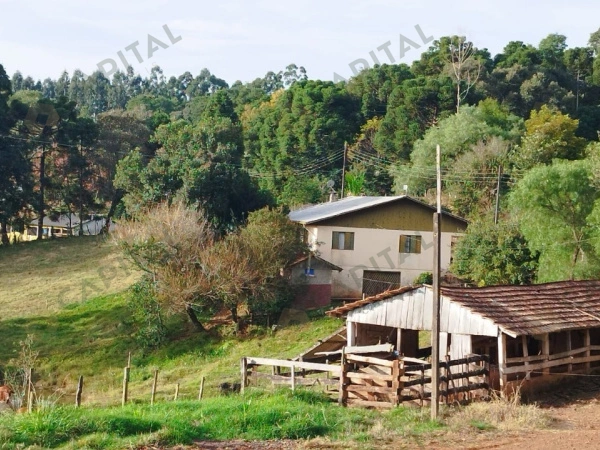 Propriedade Rural - Venda