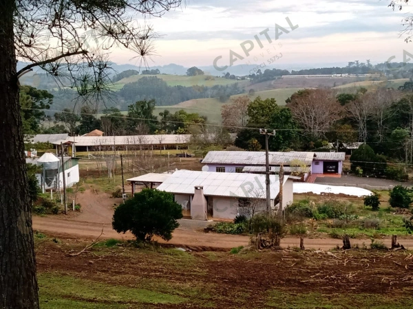 Propriedade Rural - Venda