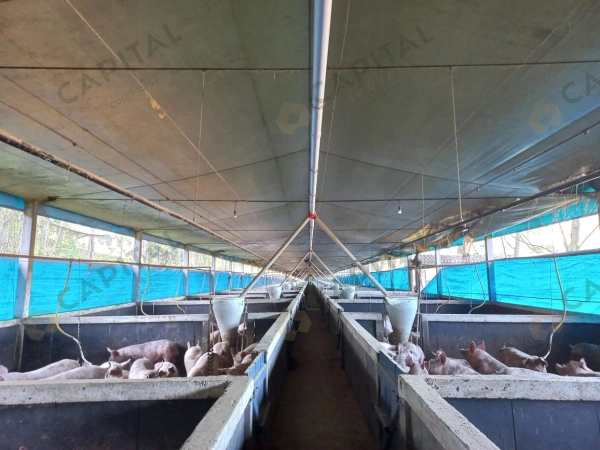 Propriedade Rural - Venda