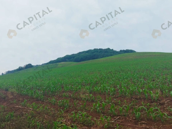 Propriedade Rural - Venda