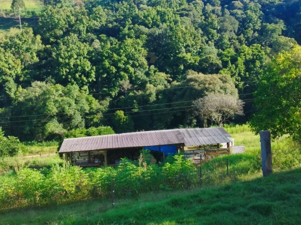 Stios - Venda