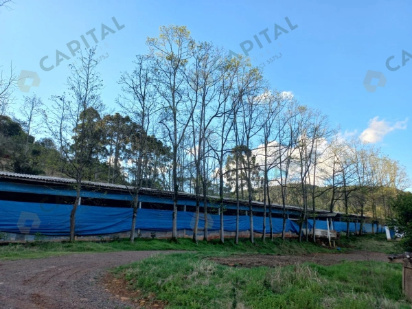 Propriedade Rural - Venda