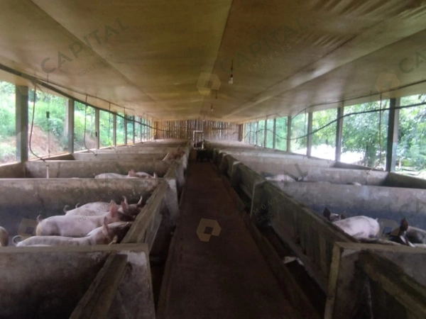 Propriedade Rural - Venda