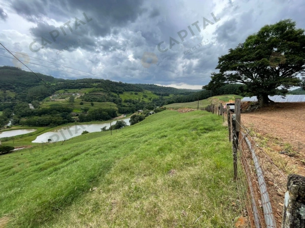 Propriedade Rural - Venda