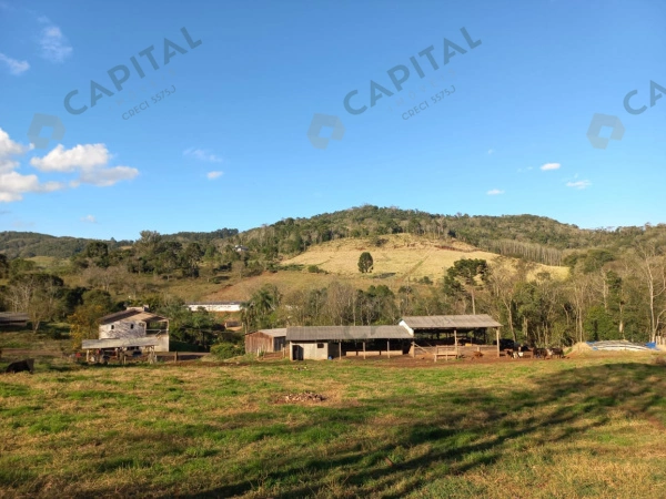 Propriedade Rural - Venda