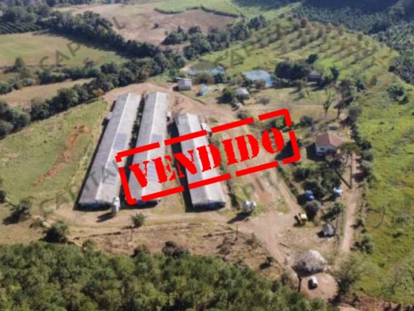 Propriedade Rural - Venda