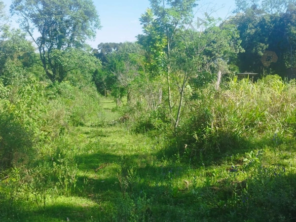 Stios - Venda