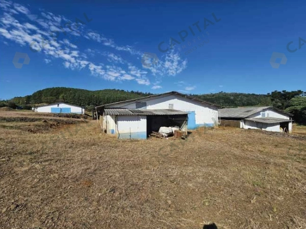 Propriedade Rural - Venda