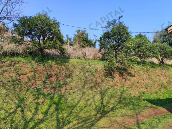 Terrenos - Venda