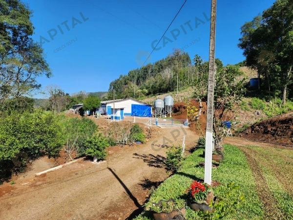 Propriedade Rural - Venda