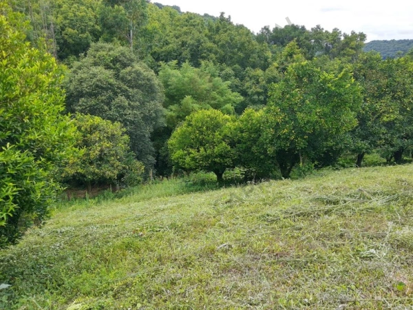 Propriedade Rural - Venda