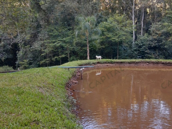 Propriedade Rural - Venda