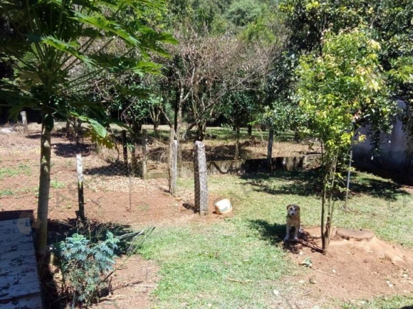 Propriedade Rural - Venda