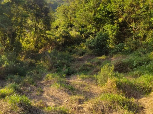Terrenos - Venda
