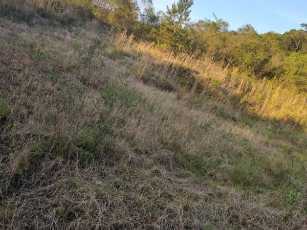 Terrenos - Venda