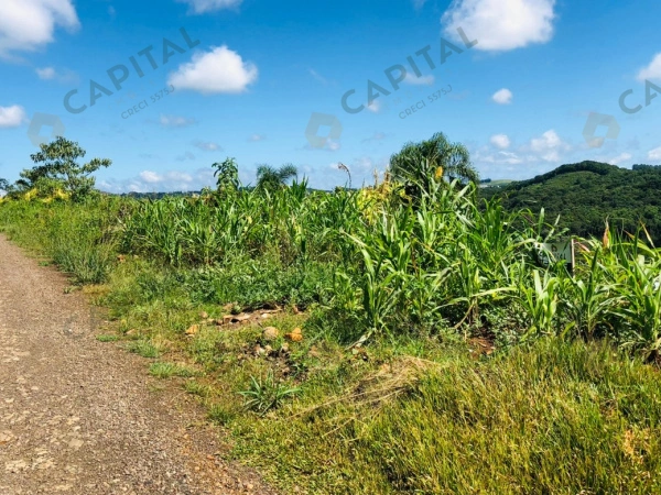 Terrenos - Venda