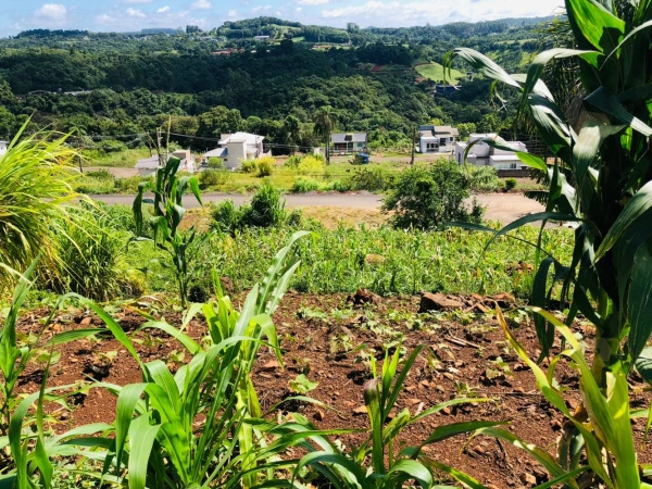 Terrenos - Venda