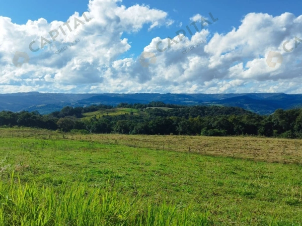 Propriedade Rural - Venda