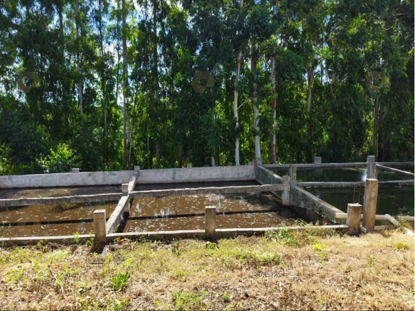 Propriedade Rural - Venda