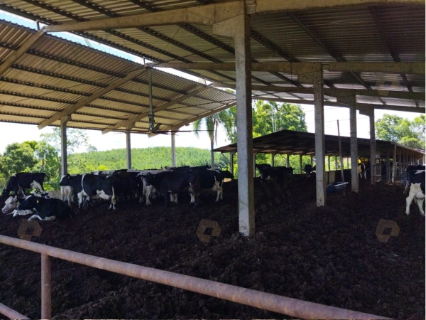 Propriedade Rural - Venda