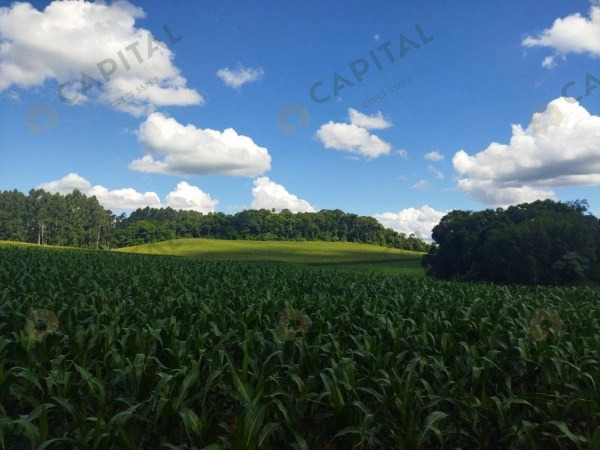 Propriedade Rural - Venda