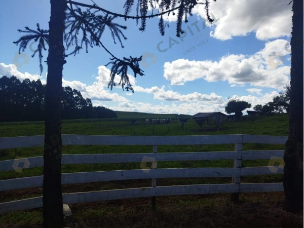 Propriedade Rural - Venda