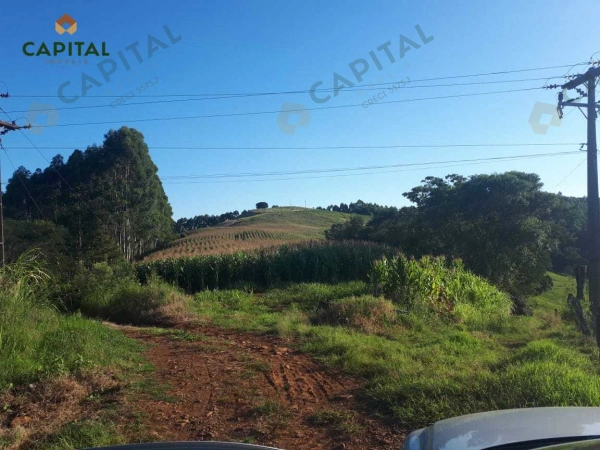 Propriedade Rural - Venda