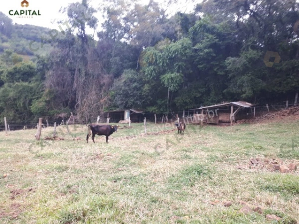 Stios - Venda