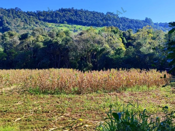 Propriedade Rural - Venda