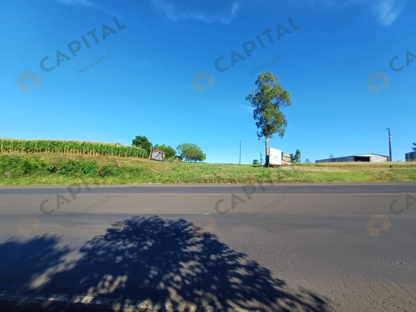 Terrenos - Venda