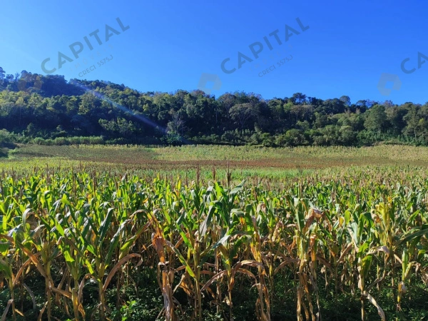 Propriedade Rural - Venda