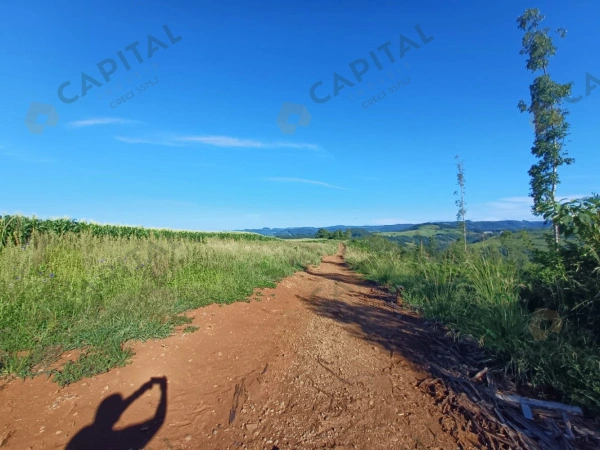 Terrenos - Venda