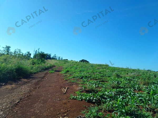 Terrenos - Venda