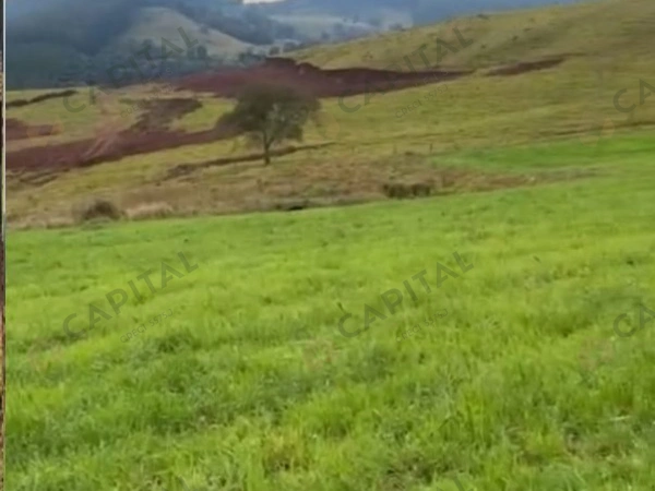 Propriedade Rural - Venda