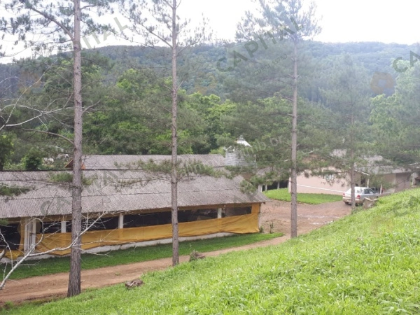 Propriedade Rural - Venda