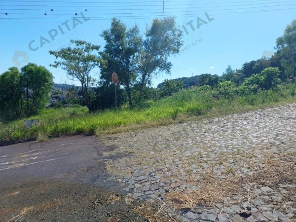 Terrenos - Venda